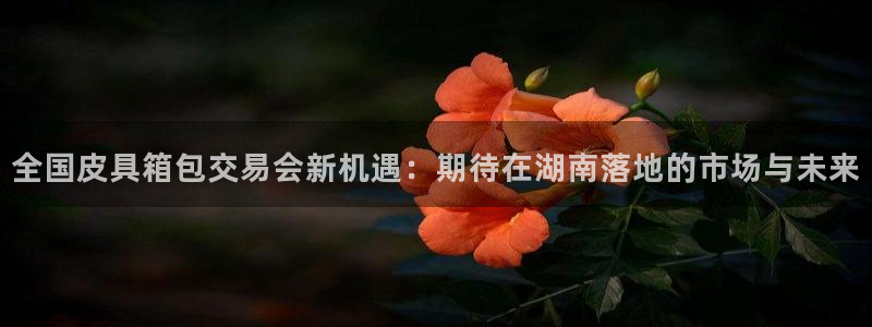卧龙儿童娱乐设施