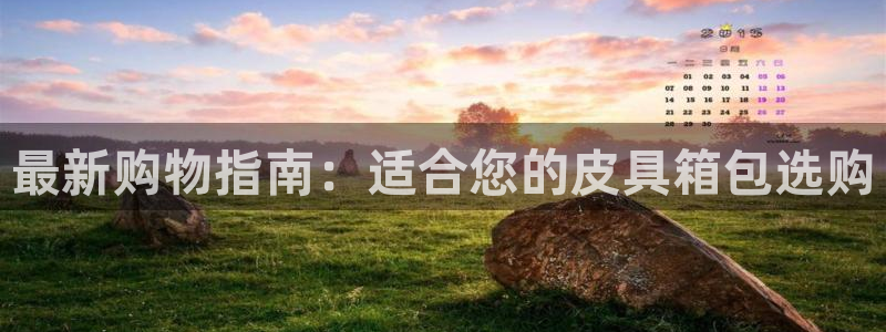 卧龙娱乐在线直播网址