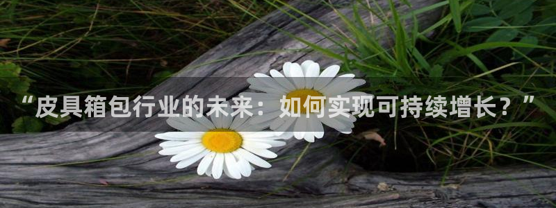 卧龙娱乐右7O667