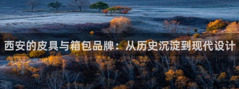 卧龙娱乐注册地址在哪里