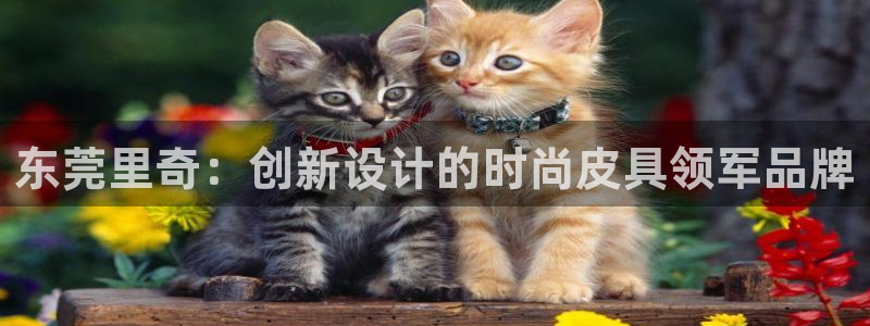 we娱乐 卧龙股东60447