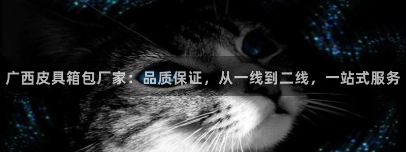 卧龙娱乐在线下载游戏