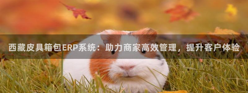 卧龙娱乐在线官网