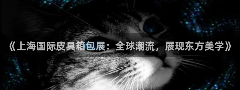 卧龙凤雏娱乐解说