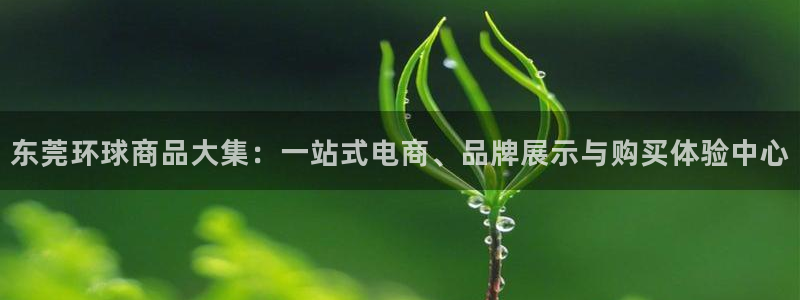 卧龙娱乐官网网址