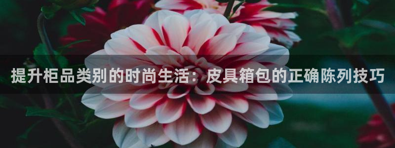 卧龙娱乐彩票怎么玩