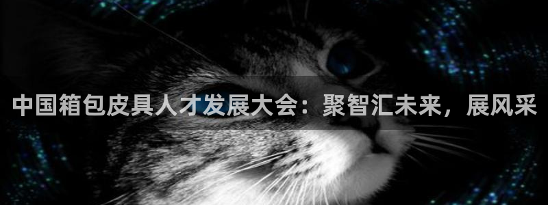 卧龙娱乐怎样注册账号啊