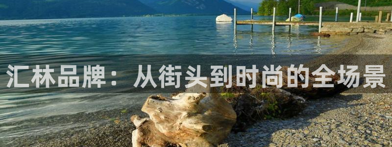 卧龙娱乐属于什么公司