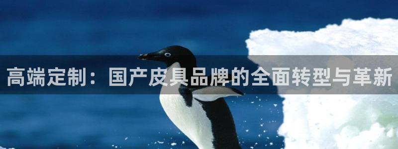 卧龙台球娱乐