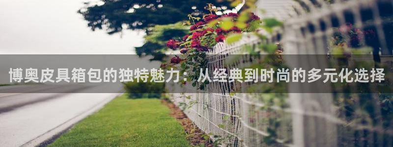 卧龙凤雏娱乐版