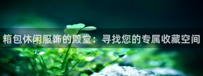 郑州卧龙娱乐王凯旋简历