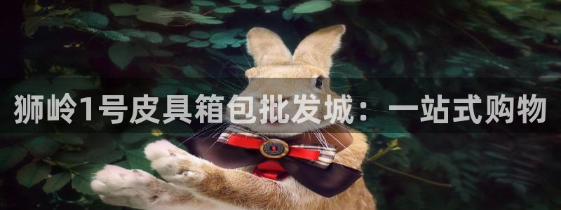 卧龙棋牌娱乐官网首页
