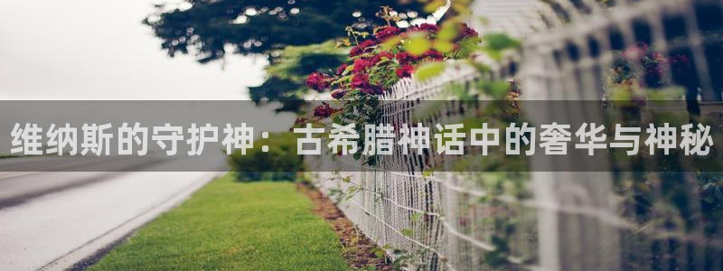 卧龙娱乐优七九九47