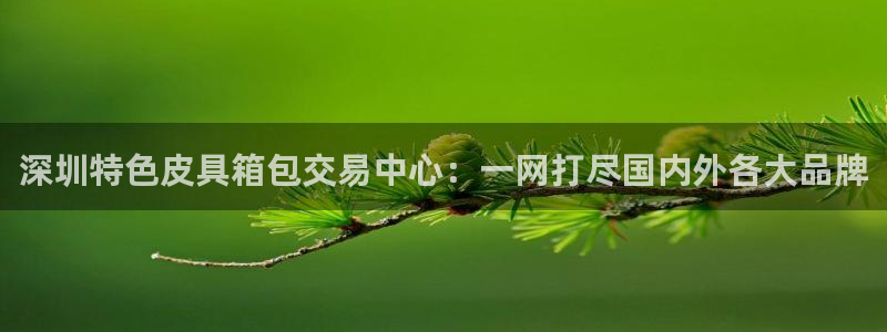 南阳卧龙娱乐城
