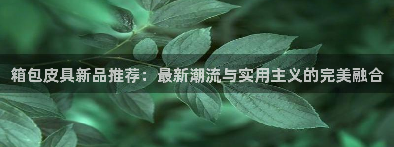 卧龙牧原娱乐设施