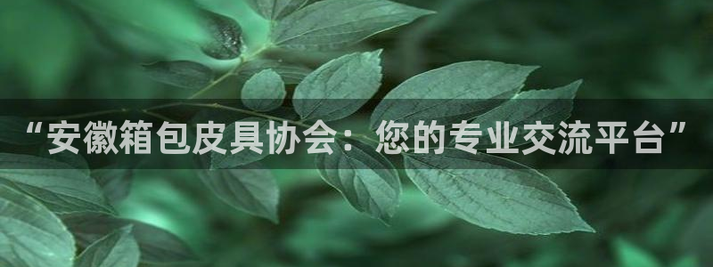 卧龙娱乐平台下载