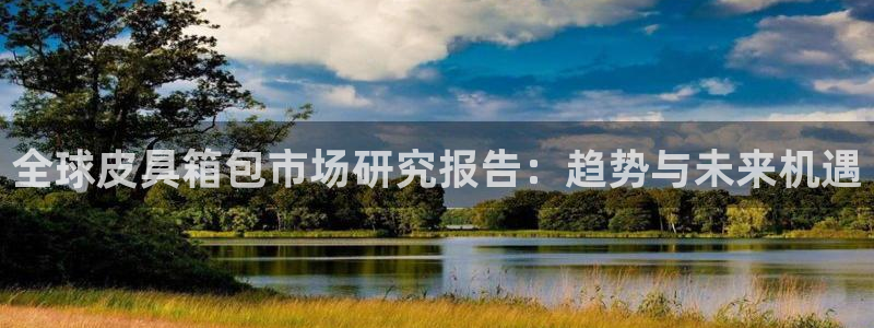 卧龙娱乐不出款了吗