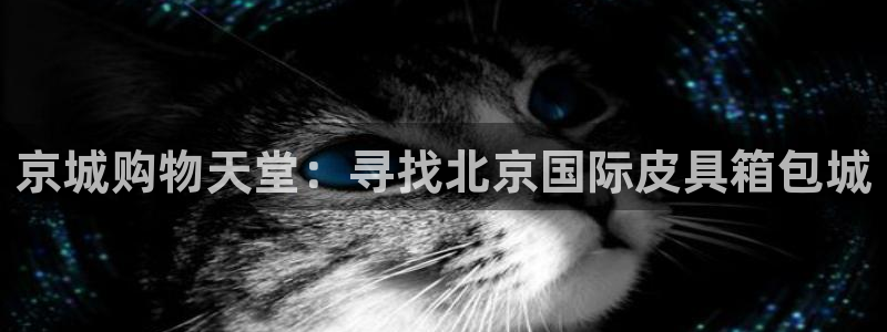 卧龙娱乐是什么