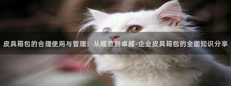 卧龙娱乐总管是谁