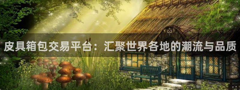 we娱乐 卧龙主管60447