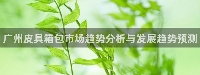 mvp娱乐 卧龙招商60447