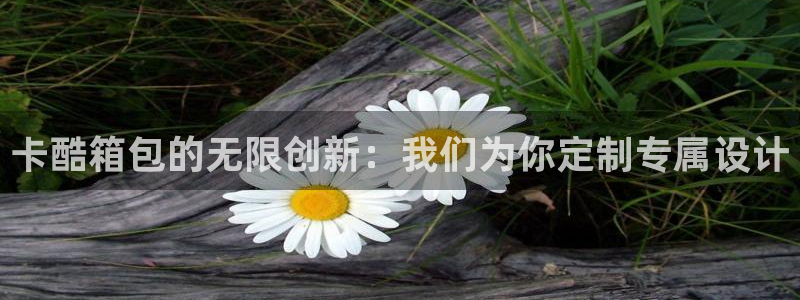 卧龙娱乐彩票中奖了吗