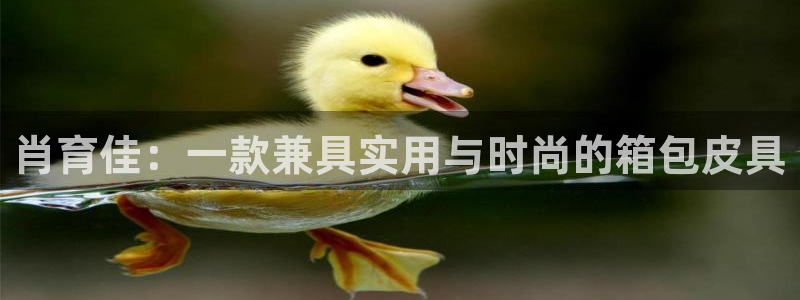 卧龙娱乐注册链接