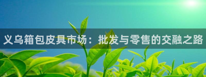 卧龙娱乐左