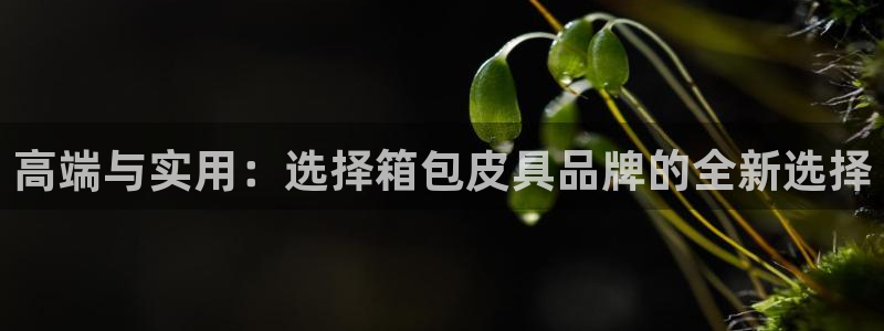 柏林娱乐- 0 卧龙