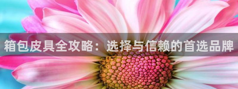 卧龙游乐娱乐设备