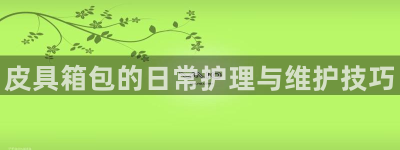 卧龙凤雏娱乐演员