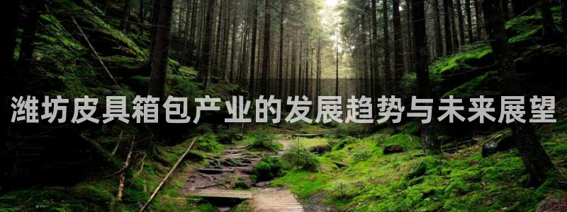 娱乐圈卧龙凤雏