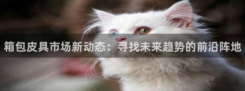 卧龙娱乐招商主管