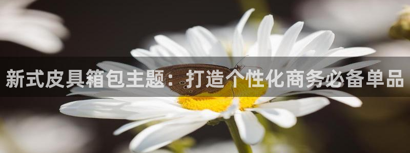 卧龙娱乐在线直播观看