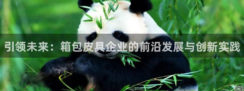 卧龙娱乐怎么不能注册