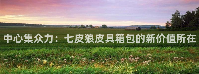 卧龙娱乐软件