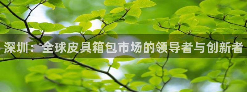卧龙娱乐地