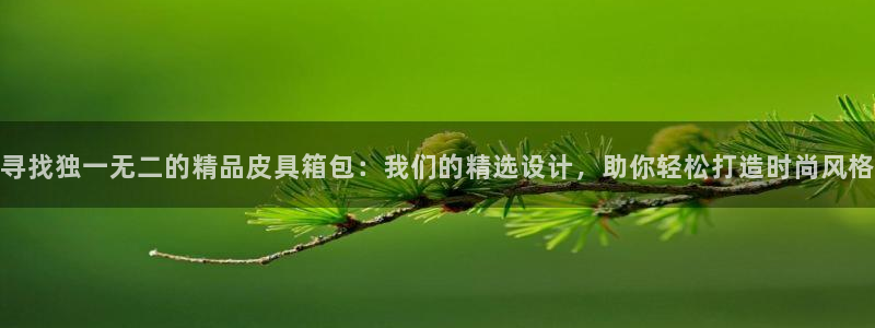 卧龙娱乐平台登录入口