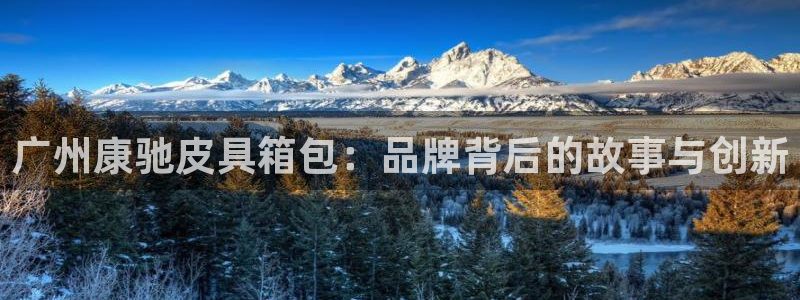 卧龙娱乐设备