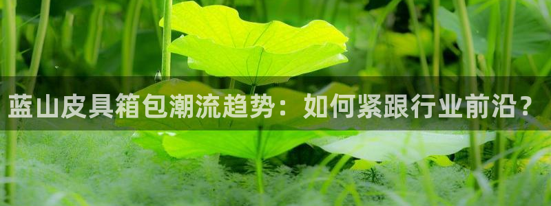 卧龙娱乐注册账号