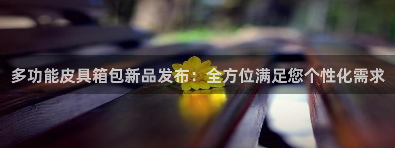 卧龙娱乐怎样注册公司