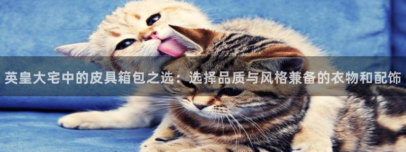 卧龙休闲娱乐热门推荐