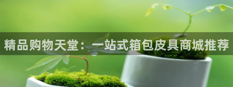 卧龙牧原娱乐设施