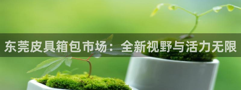 卧龙娱乐前
