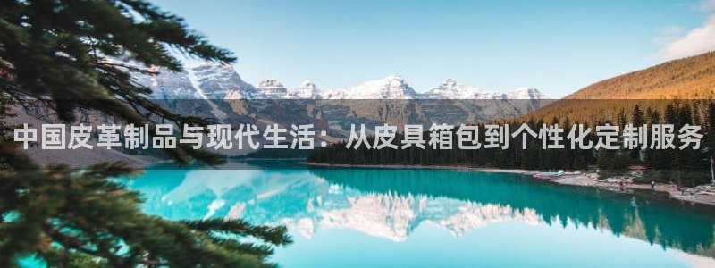 卧龙娱乐日