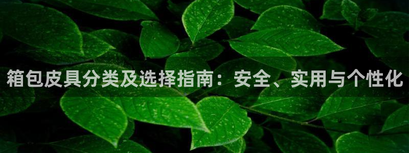 卧龙区休闲娱乐