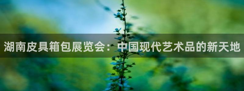 卧龙居餐饮娱乐