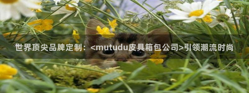 襄阳卧龙镇娱乐