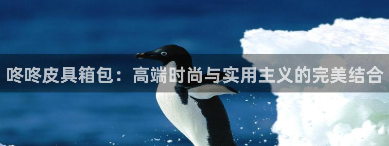 卧龙凤雏娱乐抖音