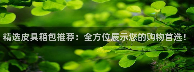 卧龙湾娱乐区